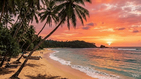 Southern Beach Sunset